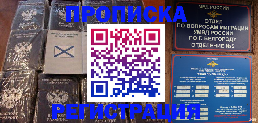 прописка гарантия в Волоколамске